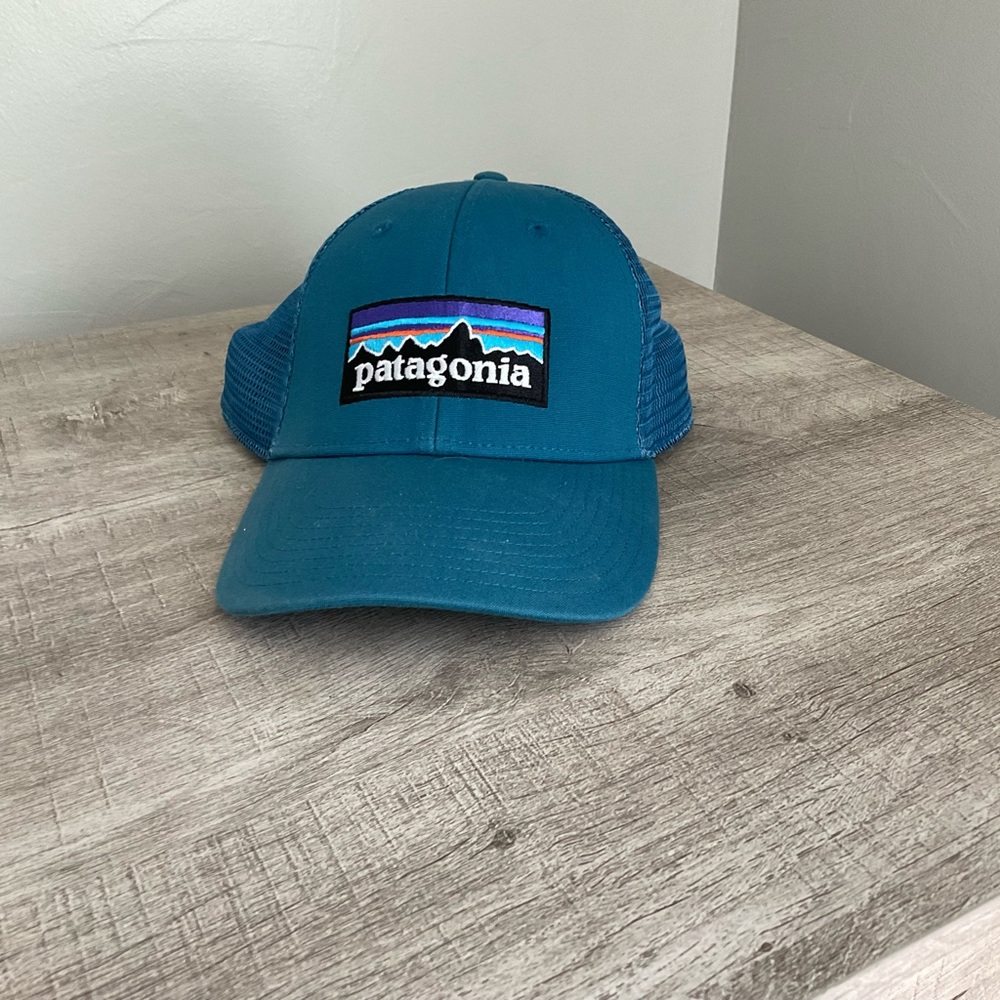 Patagonia Trucker Hat Blue
